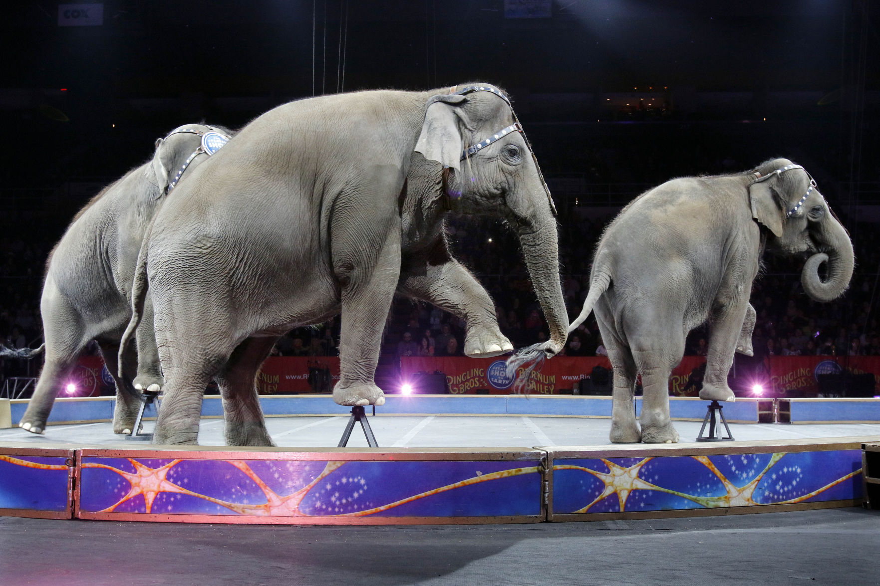 Nowhere Left To Run Away To The Final Days Of The Circus Sent Trib 7890